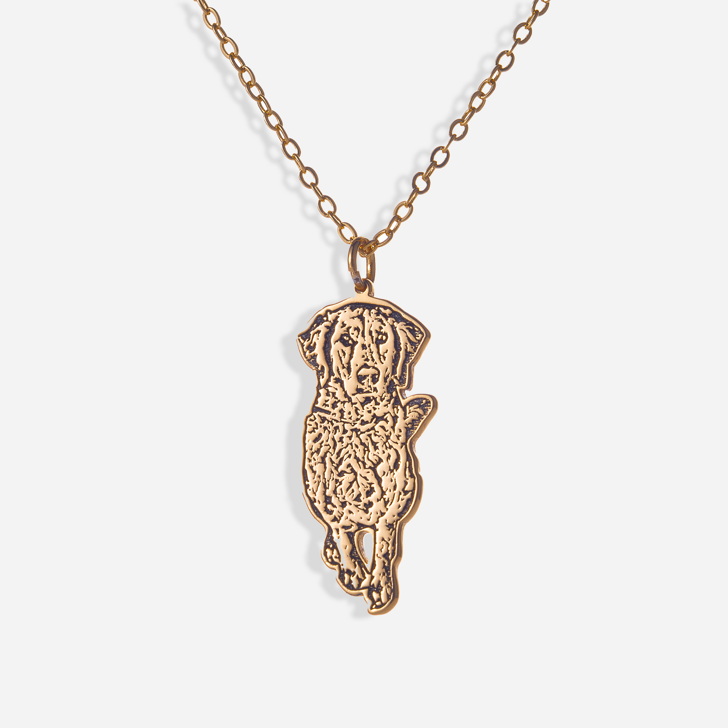 Furry Friend Forever Pendant